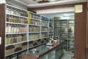 Shree Balaji Ayurveda in Surat