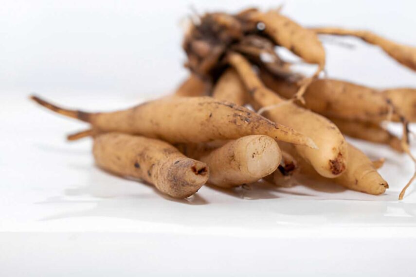 How Long Does Shatavari Take to Work: Understanding the Timeline for